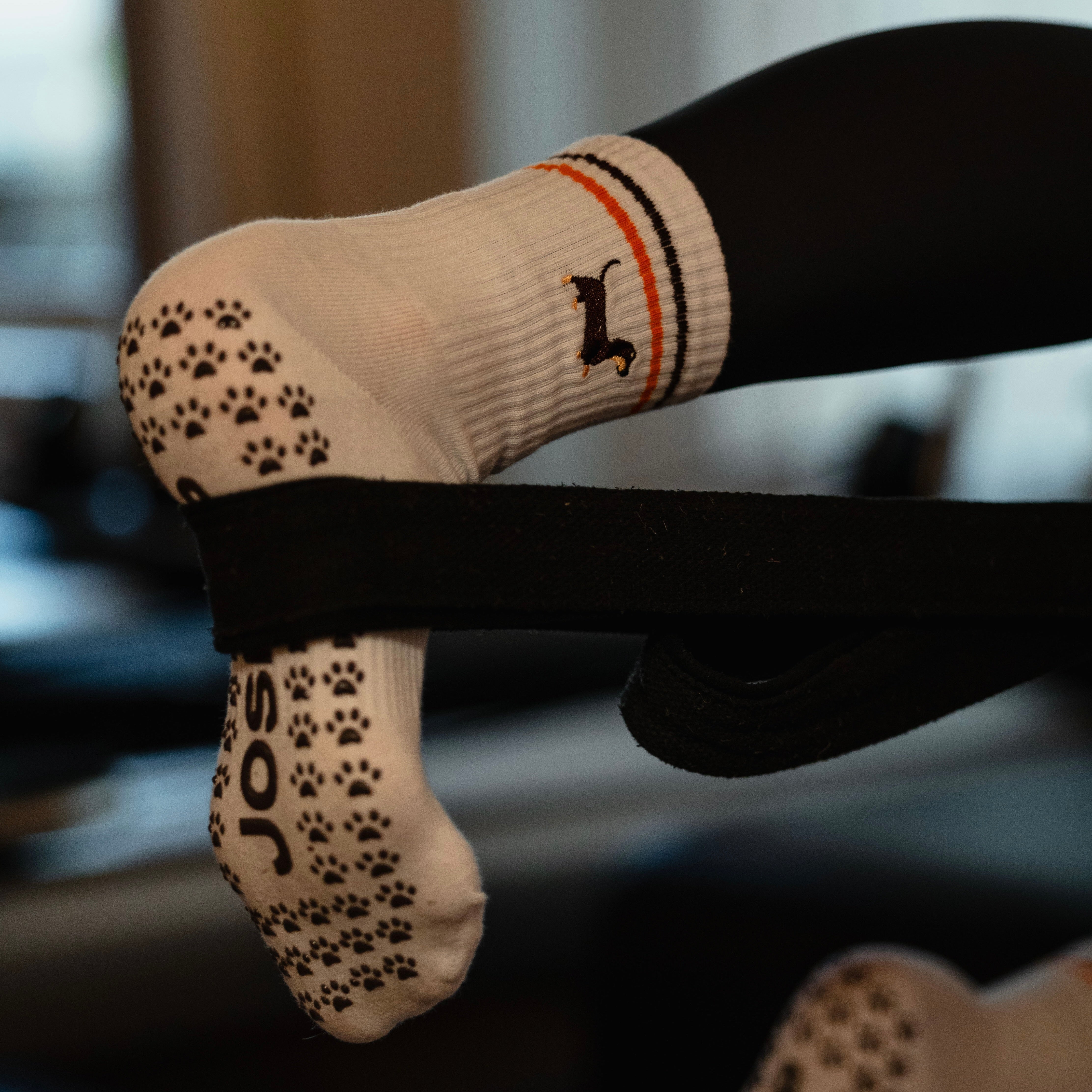 JOSEF P Dachshund Edition - Pilates socks · JOSEF P