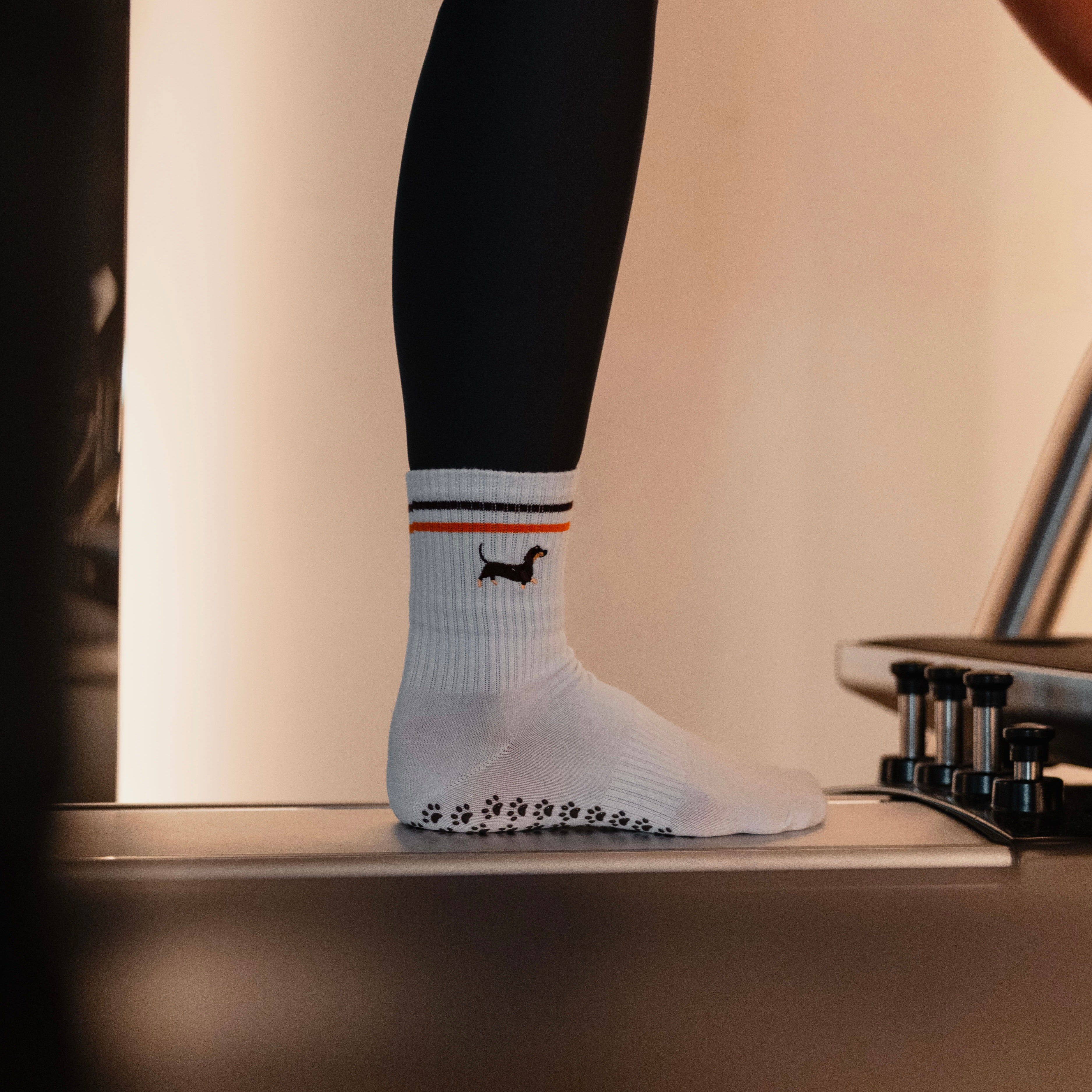 JOSEF P Dackel Edition - Pilates Socken