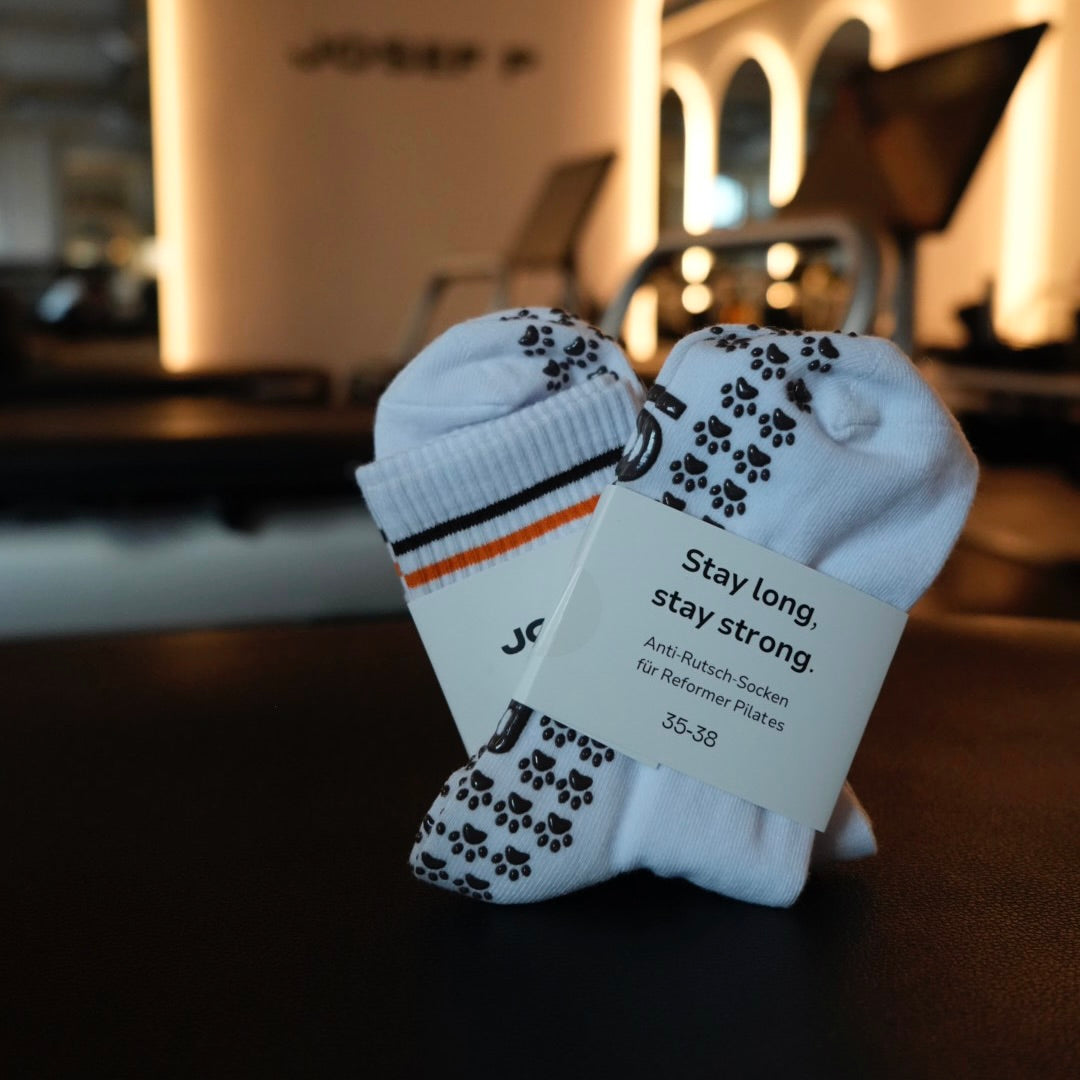 JOSEF P Dachshund Edition - Pilates socks · JOSEF P